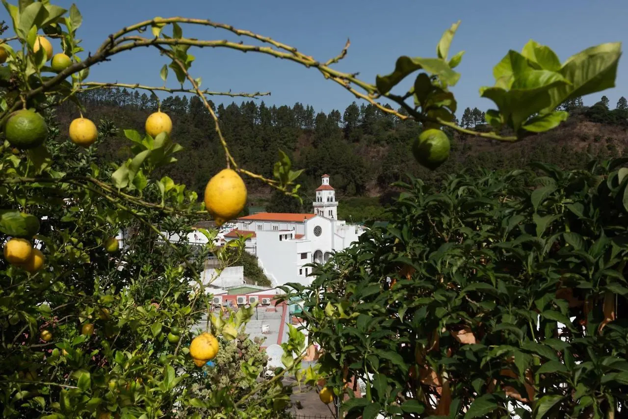 Villas El Alto Moya  Moya (Gran Canaria)